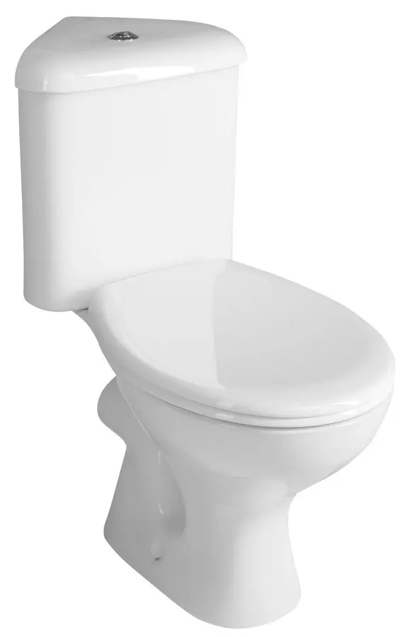Aqualine sanitārā keramika - WC Clifton, stūra, aizmugures notece, balts FS1PK