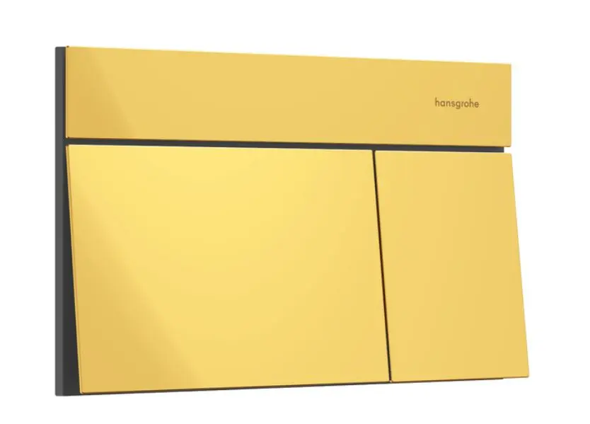 Hansgrohe iFrame Element E - WC vadības plate, pulēta zelta apdare 66003990