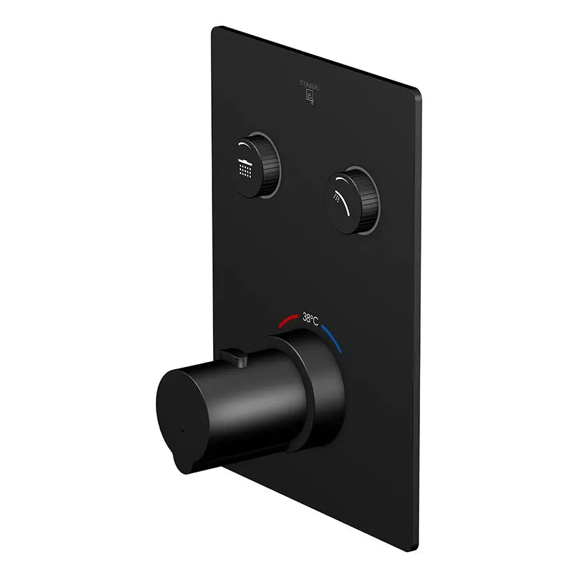 Steinberg 390 - zemapmetuma termostata maisītājs 2 patērētājiem, melns 390 4221 3 S