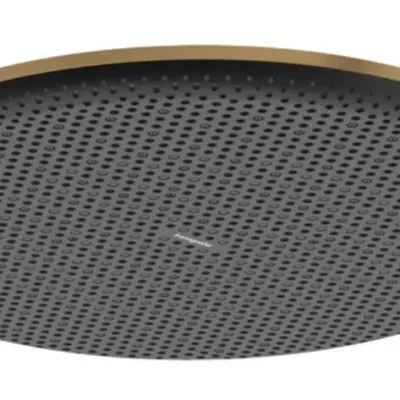 Hansgrohe Raindance Alive S - galvas duša, diametrs 30 cm, EcoSmart, birstēts bronzas tonis 24521140