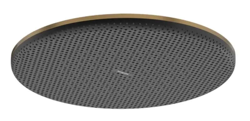 Hansgrohe Raindance Alive S - galvas duša, diametrs 30 cm, EcoSmart, birstēts bronzas tonis 24521140