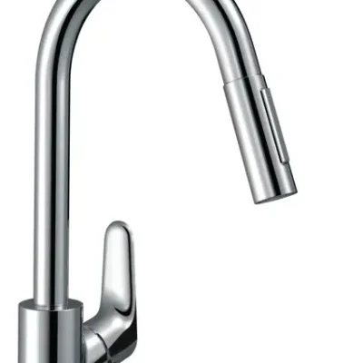 Hansgrohe Focus M41 - virtuves izlietnes maisītājs Focus, ar izvelkamu dušu, EcoSmart, hromēts 31833000