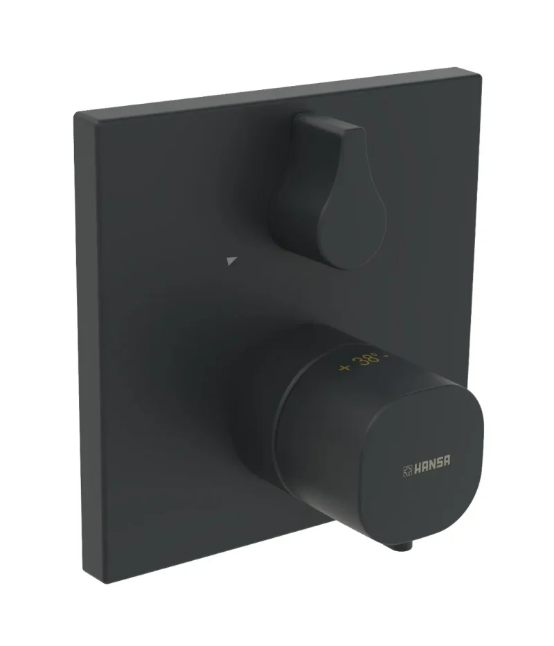 Hansa Living - termostata vannas maisītājs zemapmetuma montāžai, melns matēts 8113956233