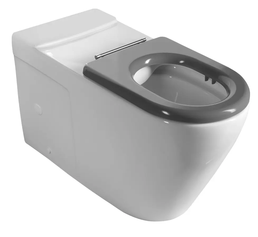 Sapho - WC kombiskā bļoda, pieejama personām ar kustību traucējumiem, Vario noteka, Rimless, balts MC102-111