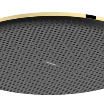 Hansgrohe Raindance Alive S - galvas duša, diametrs 30 cm, EcoSmart, pulēta zelta apdare 24521990