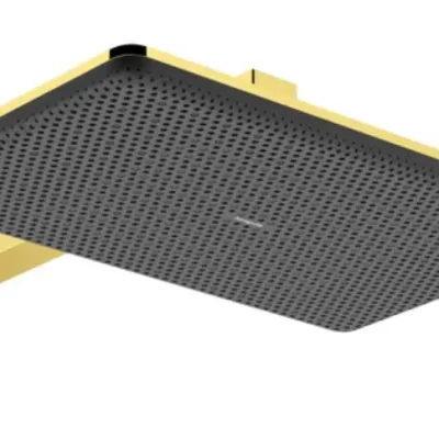 Hansgrohe Raindance Alive Q - galvas duša, 21x34 cm, 2 strūklas veidi, EcoSmart, pulēta zelta apdare 24551990