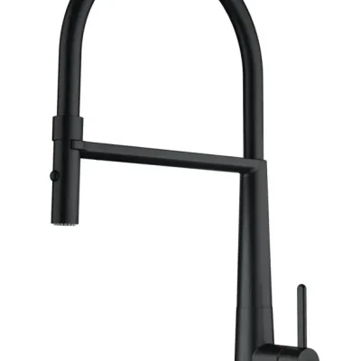 Franke Icon - virtuves izlietnes maisītājs FG 0598.901, ar elastīgu roku un dušu, matēti melns 115.0690.598