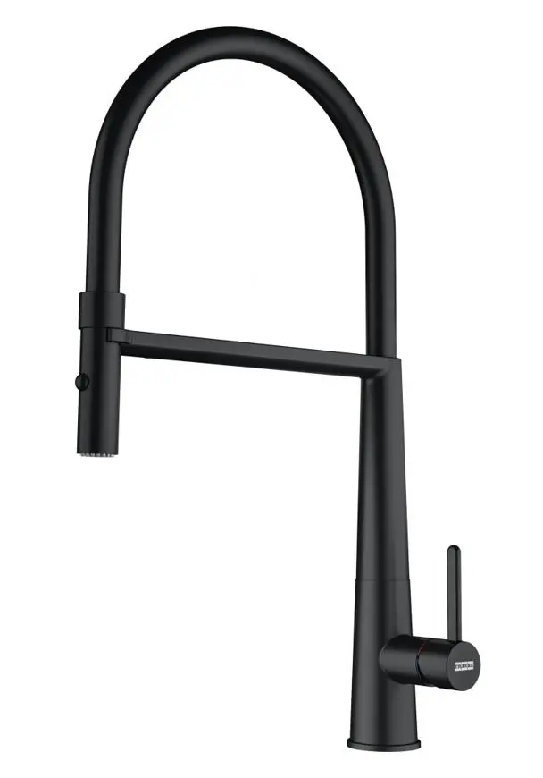 Franke Icon - virtuves izlietnes maisītājs FG 0598.901, ar elastīgu roku un dušu, matēti melns 115.0690.598