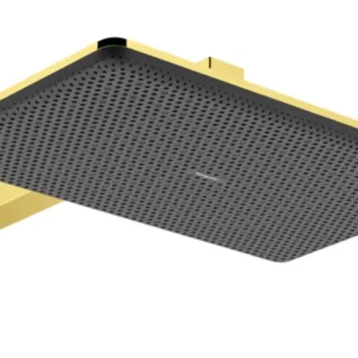 Hansgrohe Raindance Alive Q - galvas duša, 21x34 cm, 2 strūklas veidi, pulēta zelta apdare 24550990