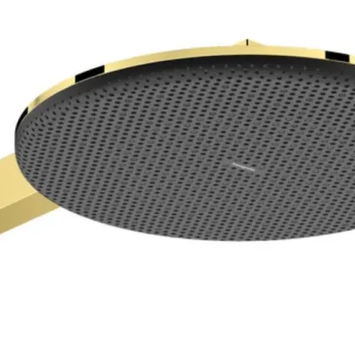 Hansgrohe Raindance Alive S - galvas duša, diametrs 30 cm, 2 strūklas veidi, pulēta zelta apdare 24540990