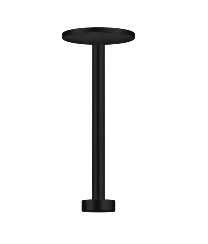 Axor One - Ieeja no griestiem 30 cm, matēti melns 48496670