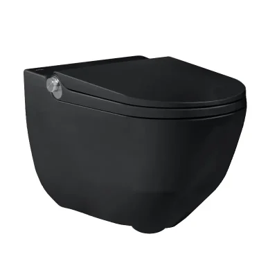 Laufen Cleanet Riva - dušas WC, Rimless, SoftClose, LCC, matēti melns H8206917160001