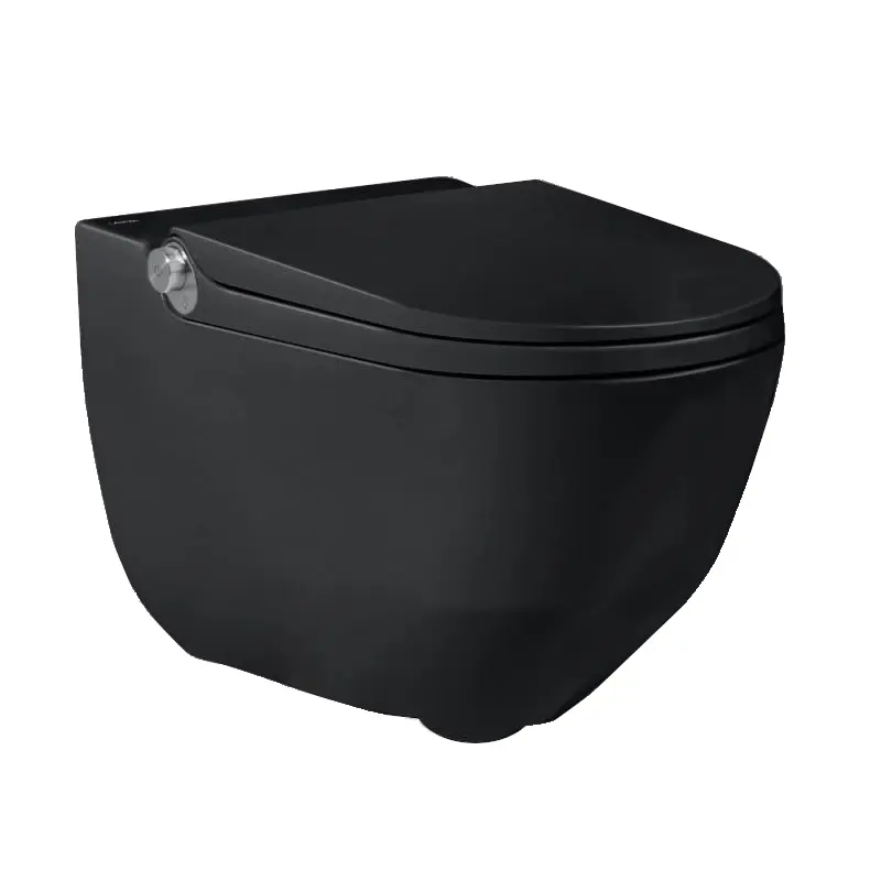 Laufen Cleanet Riva - dušas WC, Rimless, SoftClose, LCC, matēti melns H8206917160001