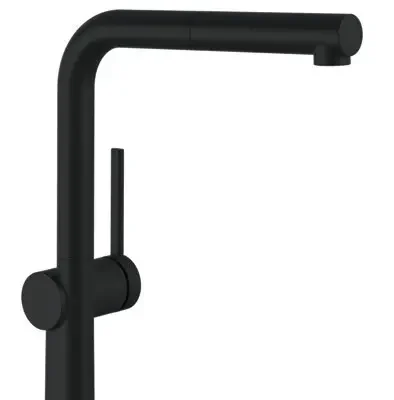 Hansgrohe M54 - virtuves izlietnes maisītājs Talis ar izvelkamu dušu, matēti melns 72808670