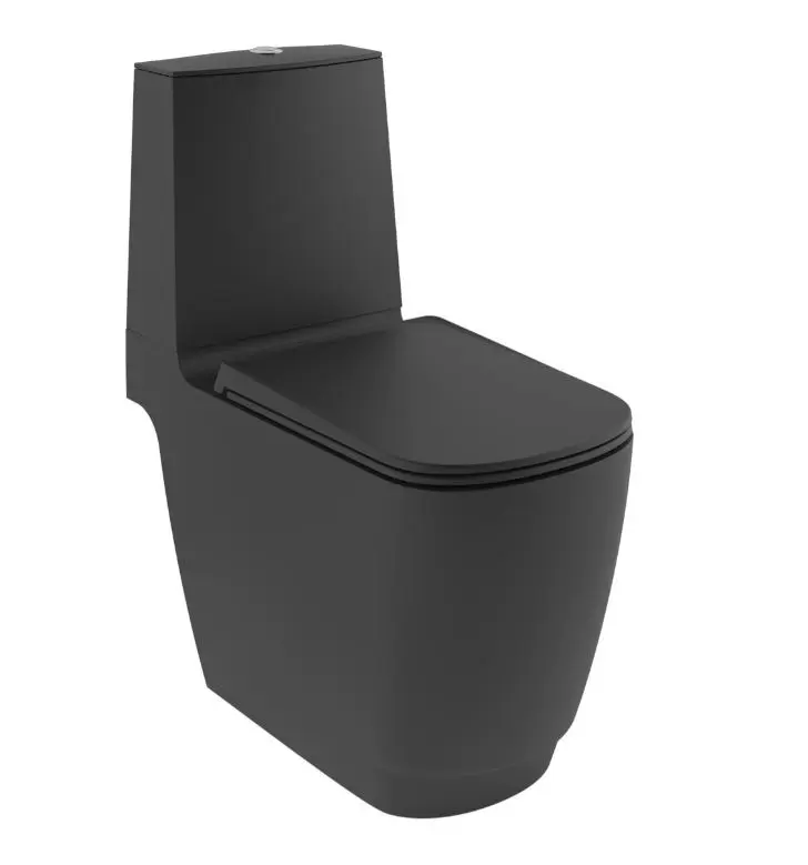 Kludi Resa S - WC kombinētā bļoda, apakšējais izvads, Rimless, Spiralflush, matēti melns 27WCB0239
