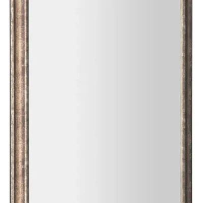 Sapho spoguļi - spogulis Romina rāmī, 58x98 cm, bronzas patina NL398