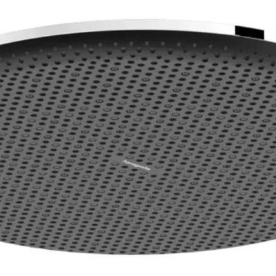 Hansgrohe Raindance Alive S - galvas duša, diametrs 30 cm, hroms 24520000