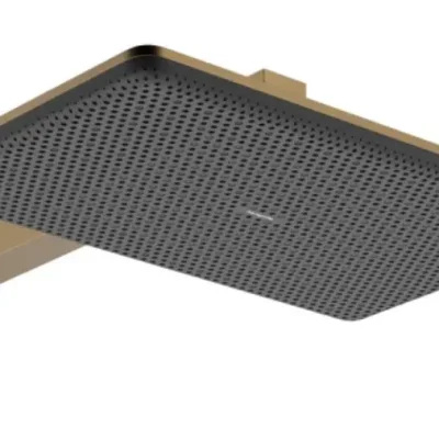 Hansgrohe Raindance Alive Q - galvas duša, 21x34 cm, 2 strūklu veidi, birstēta bronza 24550140