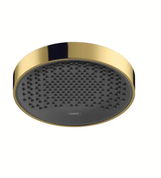 Hansgrohe Rainfinity - galvas duša 250, 1 strūklas veids, pulēts zelts 26228990
