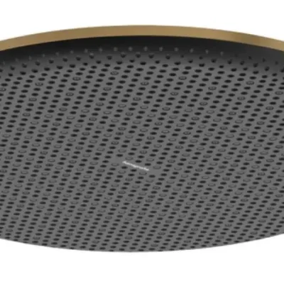 Hansgrohe Raindance Alive S - galvas duša, diametrs 30 cm, EcoSmart+, birstēta bronza 24523140