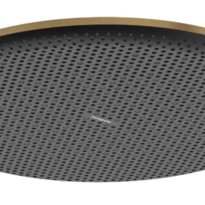 Hansgrohe Raindance Alive S - galvas duša, diametrs 30 cm, birstēta bronza 24520140
