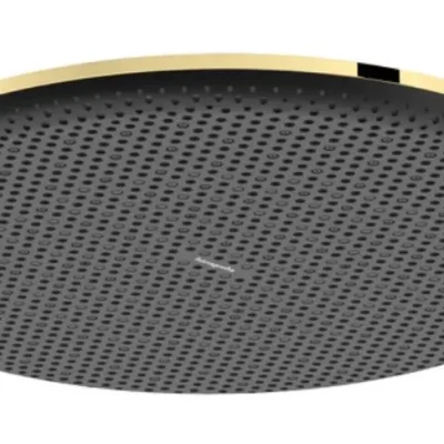 Hansgrohe Raindance Alive S - galvas duša, diametrs 30 cm, EcoSmart+, pulēta zelta apdare 24523990