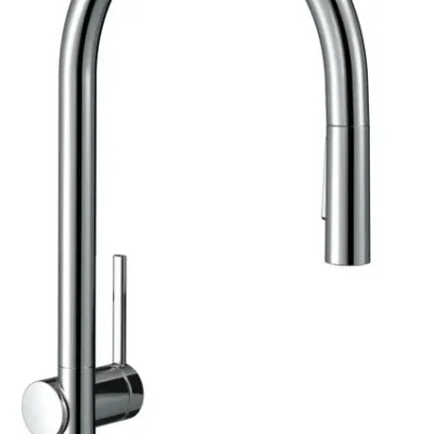 Hansgrohe M54 - virtuves izlietnes maisītājs Talis, ar izvelkamu dušu, hromēts 72800000