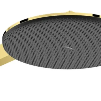 Hansgrohe Raindance Alive S - galvas duša, diametrs 30 cm, 2 strūklas veidi, EcoSmart, pulēta zelta apdare 24541990