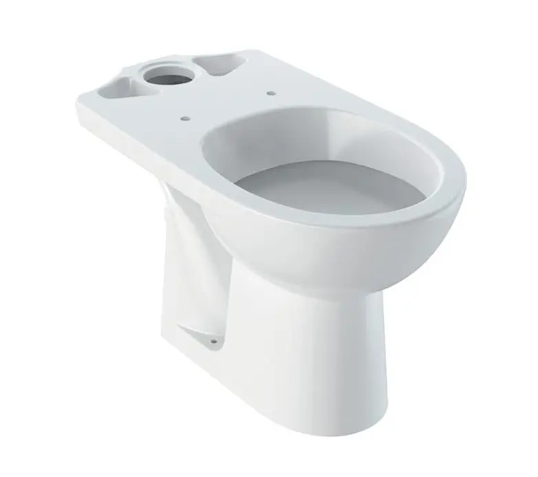 Geberit Selnova - stāvošs WC komplekts, horizontāls izvads, 67x36 cm, bez skalošanas malas, balts 500.282.01.5